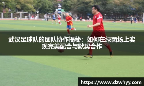 武汉足球队的团队协作揭秘：如何在绿茵场上实现完美配合与默契合作