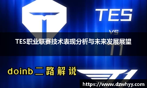 TES职业联赛技术表现分析与未来发展展望