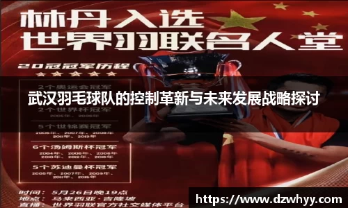 武汉羽毛球队的控制革新与未来发展战略探讨